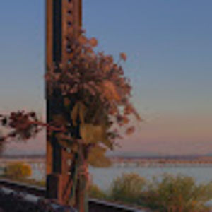 Meet your Posher, Coco